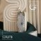 مدال کریستال عقیق cr279